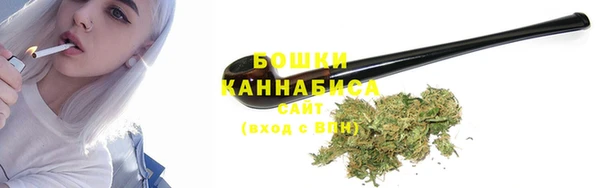 прущие грибы Щёлкино