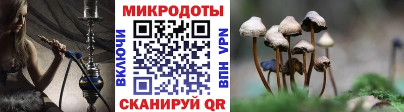 Галлюциногенные грибы прущие грибы  Купить  Игра 