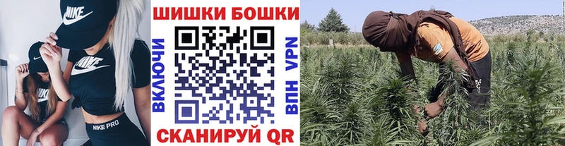Купить закладки  Игра  Канабис SATIVA & INDICA 